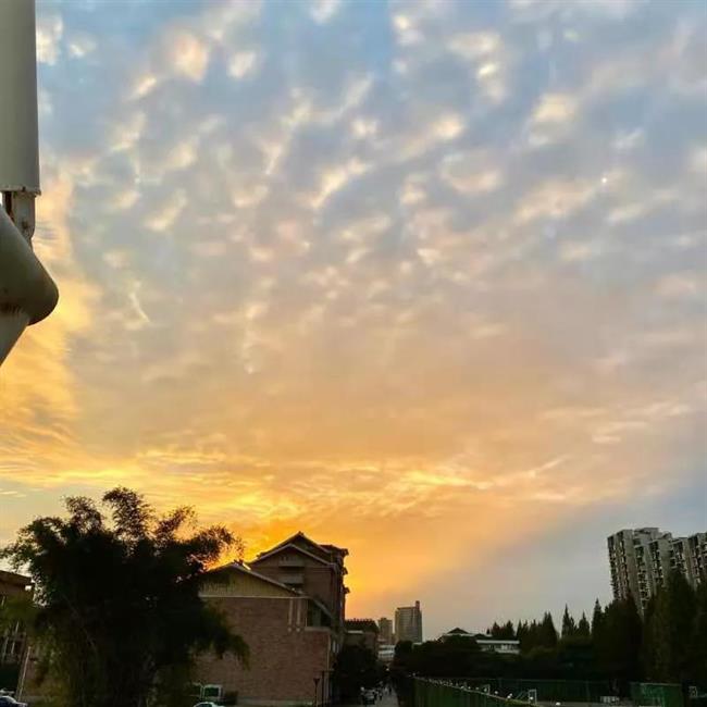 微信图片_20210406134125.jpg